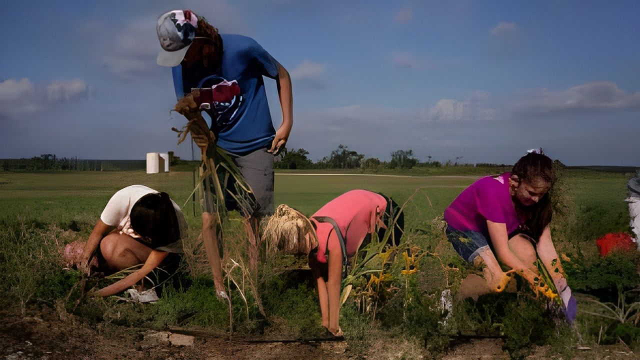 Gardening News Roundup: August 17, 2023
