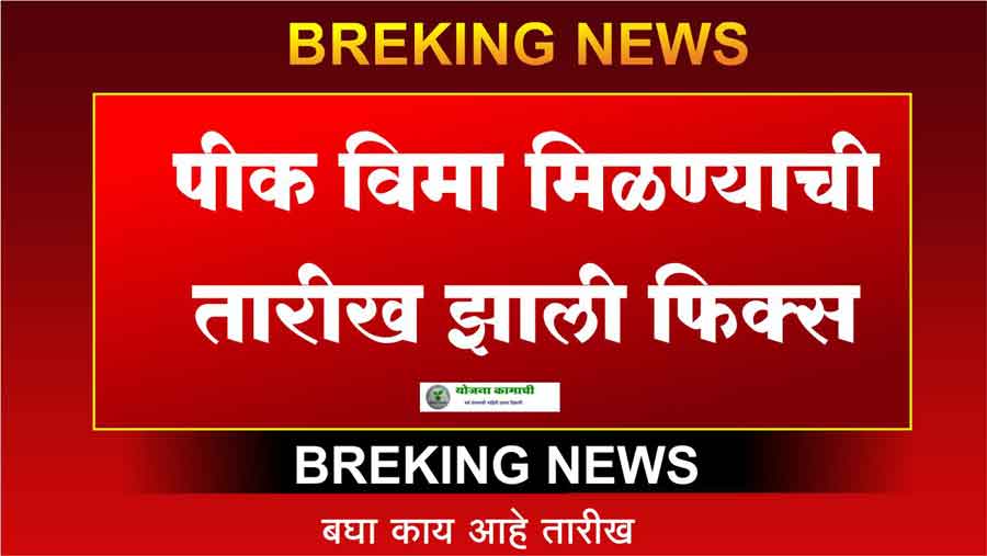 Pik Vima : या जिल्ह्यातील पिक विम्याचे पैसे आले, पुढील आठवड्यात जमा होणार शेतकऱ्यांच्या खात्यावर
